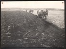 <div id="image-space"></div><p><span>Vieta:</span><a href="/objects/division/147/">Pūres pagasts</a></p><p><span>Priekšmeti:</span><a href="/objects/subject/19/">Fotogrāfijas</a>; <a href="/objects/subject/55/">Latvija</a>; <a href="/objects/subject/165/">Vīrieši</a>; <a href="/objects/subject/169/">Zirgi</a>; <a href="/objects/subject/323/">Pūres pagasts (Tukuma novads, Latvija)</a>; <a href="/objects/subject/3261/">Augsnes apstrāde</a>; <a href="/objects/subject/4057/">Pūres Dārzkopības izmēģinājumu stacija</a></p><p><span>Anotācija:</span>Trīskārša augsnes sagatavošana Pūres Dārzkopības izmēģinājumu stacijas augļu dārzam 1935.gadā.</p><div id="read-more-line"><a href="/objects/object/56997/">skatīt vairāk</a></div>